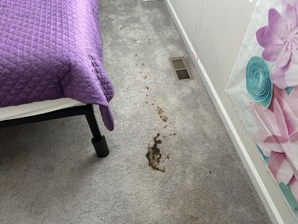 Multiple severe contamination spots - before